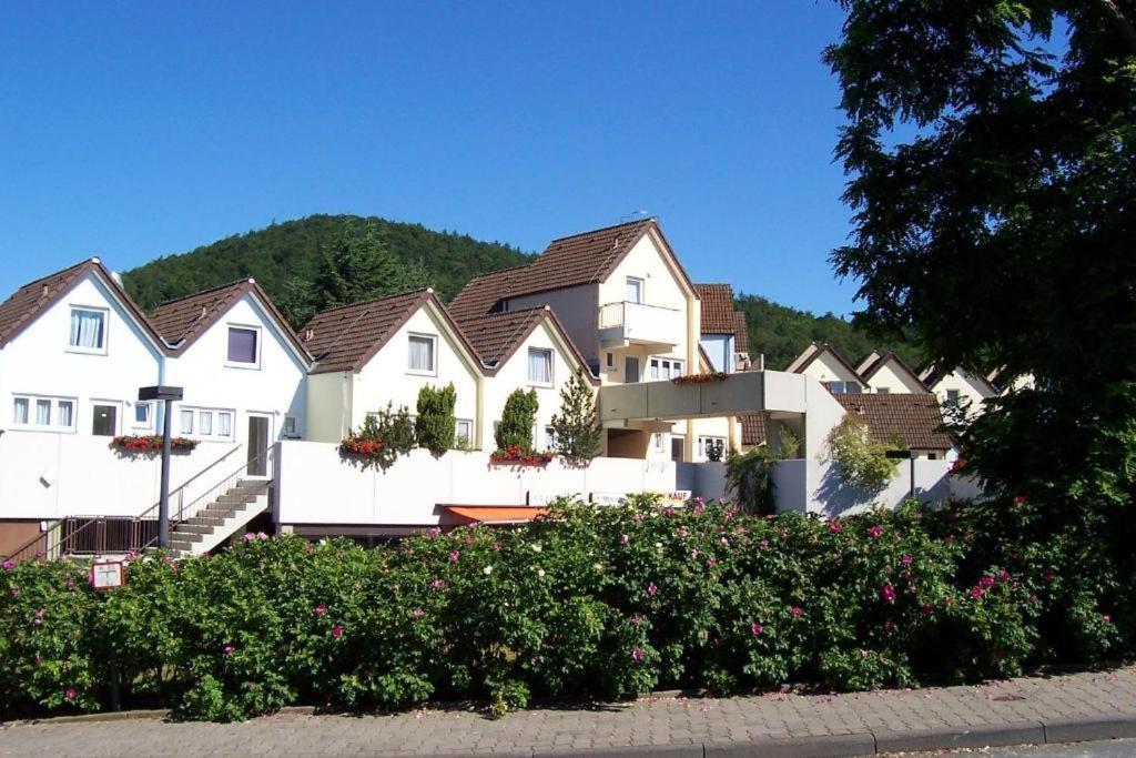 Gemutliche 93M2Fewo Mit 2 Schlafzimmern Und Seitlichem Seeblick Vom Balkon Scheid  エクステリア 写真